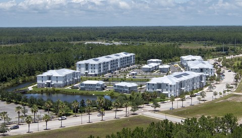 Aerial Shot